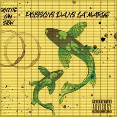 Poissons dans la Marge - Sollite x Oxy x Stow