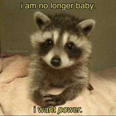 pineapple dont go on pizza. Feat kill and be Cool and Patrick dalton