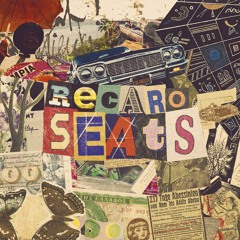 RECARO SEATS w/ MVKI