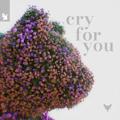 Cry for You (feat. Dani Doucette)