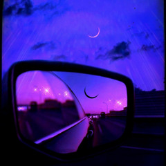 Cruising