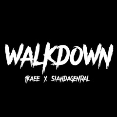 walkdown x siahdageneral