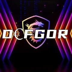 D€FGOR  - •  STONE VYBES HIGH  •