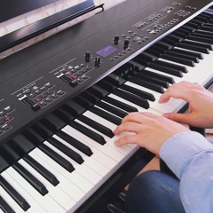 Secret - Lu Xiao Yu (不能說的秘密 - 路小雨) (Piano/Orchestra Cover)