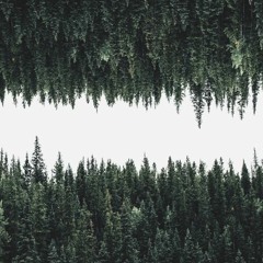 Green Limbo ft Lawrence May