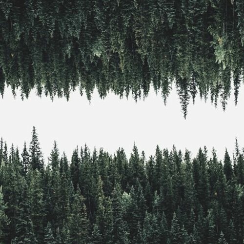 Green Limbo ft Lawrence May
