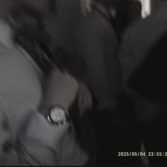 NEVER FREESTYLE - Deceive