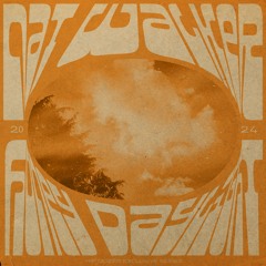 Nat Walker - Honey Daylight