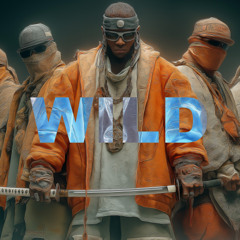 Wild | Hard UK Drill Type Beat | Dark Uk Drill Instrumental 2025