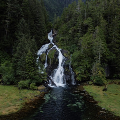 Words Flow like Water