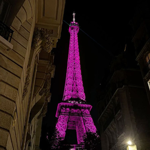 "EIFFEL SIPP" - XTokely