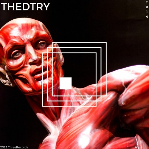 Beyond Series 14 : Thedtry