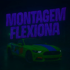 MONTAGEM FLEXIONA
