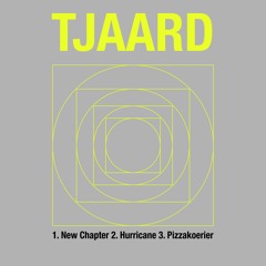 Tjaard - New Chapter