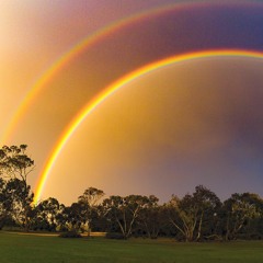 Movember Challenge: Day 26 - Chasing Rainbows