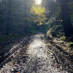 Exklave Wedding Session #004 29-10-2023