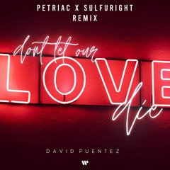 David Puentez - Don't Let Our Love Die (Petriac x Sulfuright Remix)