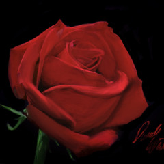 Pushing Away *Single*