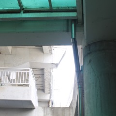 뙤약볕 블루스
