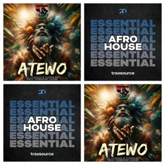 DEL BIANCHI & Takue SBT Feat. Precious James - ATEWO (Original Mix)