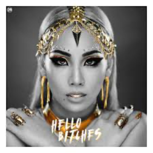 Hello Bitches - Hard Techno Remix