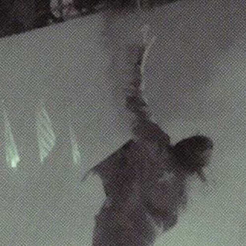 playboi carti - miss the rage