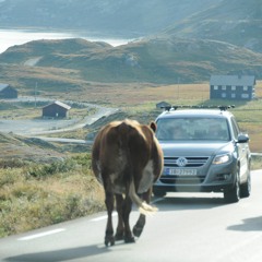 Rational Nap Show Pt 2 (TPC140)