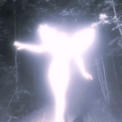 DU ÄR INTE GJORD FÖR MIG