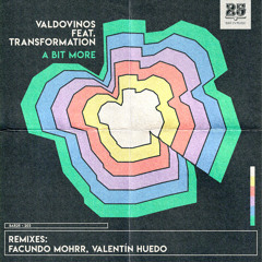 Valdovinos, Transformation - A Bit More (Facundo Mohrr Remix - Edit)