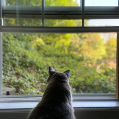 Existence Verification VOL. 6 - Dance Mix 2: Electric Juggalo