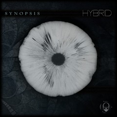 Synopsis (feat. Medjula)
