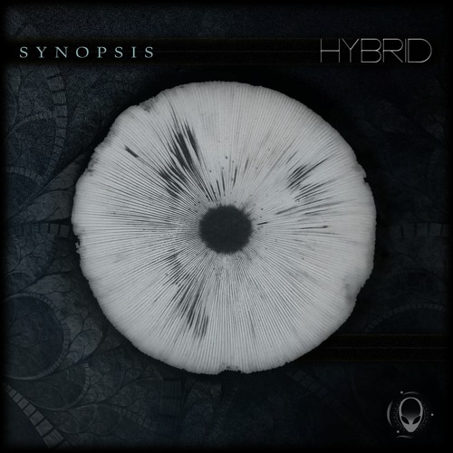 Synopsis (feat. Medjula)