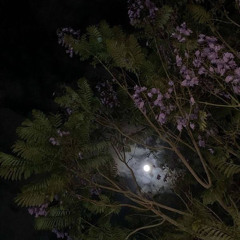 يَوْمَ يَقُومُ الرُّوحُ وَالْمَلَائِكَةُ صَفًّا ۖ لَّا يَتَكَلَّمُونَ /عبد الرحمن مسعد