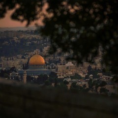 صَوتٌ بأرضِ القدسِ - علي حسانين كيوان.