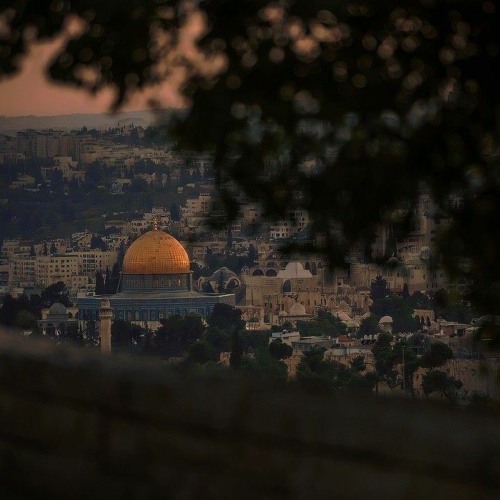 صَوتٌ بأرضِ القدسِ - علي حسانين كيوان.
