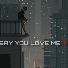 SAY YOU LOVE ME