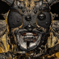 Bug-runner . Inside the Spaceship – Rainy Sci-Fi Ambience (Cozy, Safe, Futuristic Room)