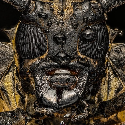 Bug-runner . Inside the Spaceship – Rainy Sci-Fi Ambience (Cozy, Safe, Futuristic Room)