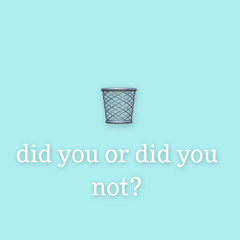did you or did you not? (prod. pizzaccio)