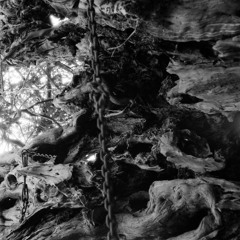 The New Folklore Show w/ Dyphnos - 03/08/2025