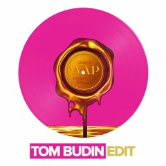 WAP (Tom Budin Edit) *FREE DOWNLOAD*