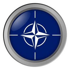 NATO _Not Another Take Over_ (2)