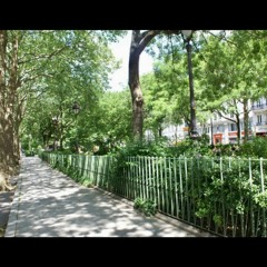 Boulevard Richard Lenoir (with Imre Lodbrog)