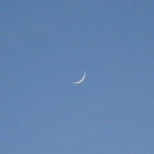 n0r1 / (  Premiere  ) - Agosto 2022