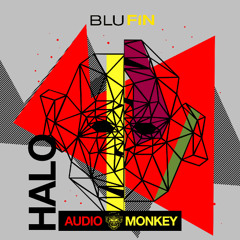 PREMIERE | Audio Monkey - Halo [BluFin]