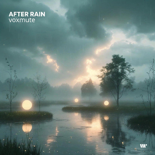 DIGITAL638: Voxmute - After Rain