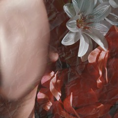 wtrflls - Flower Crown