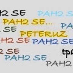 PAH2 SE ...PETERUZ..TPcvr