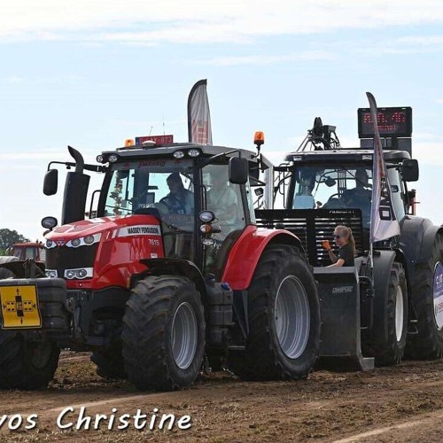 Groot in iets klein Pommelien Thijs x Bart Peeters