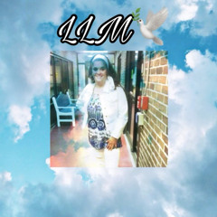 LLM🕊️ ft. MTH_Lu